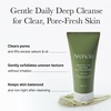 ARENCIA Hyssop Sebum Control Rice Cake Cleanser, AHA Tea Tree Face Wash for Oily Combination Skin 150ml / 5.07 fl oz(Green Tea)