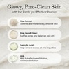 ARENCIA Hyssop Sebum Control Rice Cake Cleanser, AHA Tea Tree Face Wash for Oily Combination Skin 150ml / 5.07 fl oz(Rice)