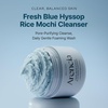Arencia Black Tea Rice Mochi Face Cleanser, Deep-Cleansing, Pore Care, Sebum Control, Oily Skin 120g (4.23 oz)(Blue Hyssop)